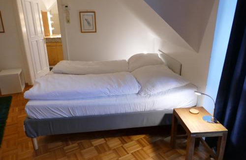 Hietzing Apartment | Traumhafte Maisonnette mit Kamin