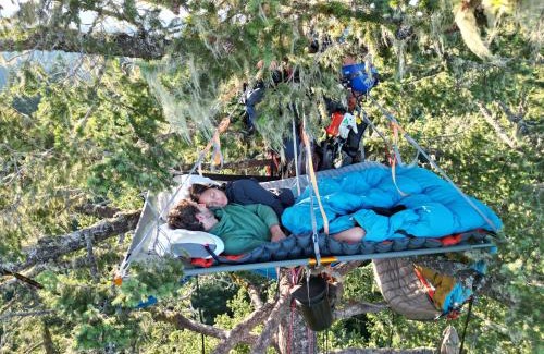 West Stayton Bed & Breakfast | Tree Climbing at Silver Falls