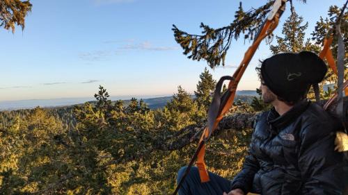 West Stayton Bed & Breakfast | Tree Climbing at Silver Falls