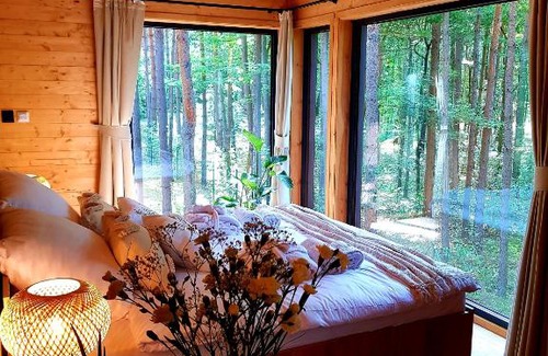 gmina Puszcza Marianska Apartment | Tree Houses Olszanka
