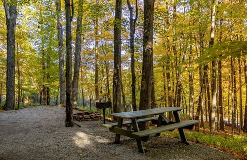 Riverton House | Treehouse Cabin in Riverton, WV