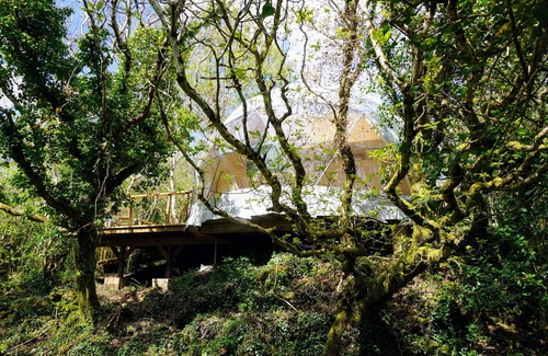 Clifden Cabin | Treehouse Dome @ Fernwood.eco with private sauna