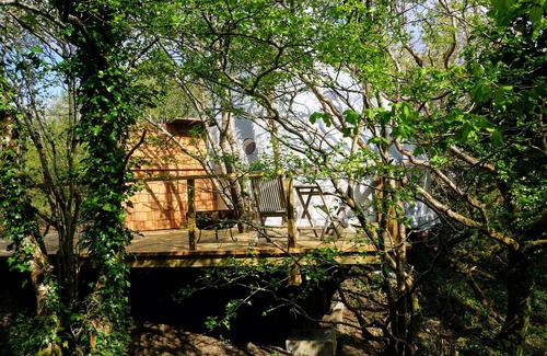 Clifden Cabin | Treehouse Dome @ Fernwood.eco with private sauna