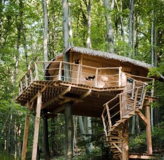Trencianske Teplice Other | Treehouse Trenčianske Teplice