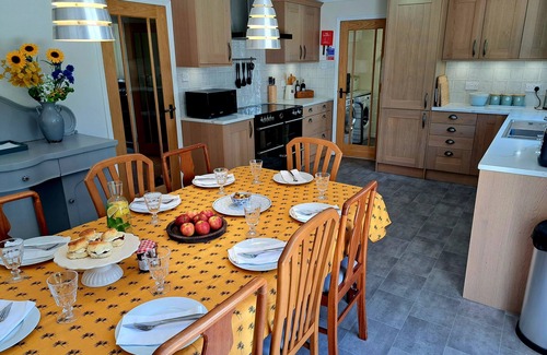 Port Isaac House | Trevallion is a stunning bungalow in idyllic surroundings, near Port Isaac.