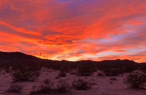 Twentynine Palms Other | Tribal Camp