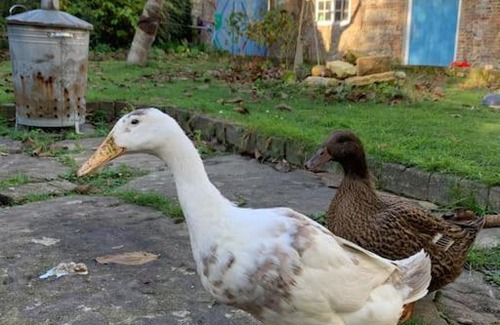 Godmanstone House | Trinity Annexe an adorable first floor light and lofty space within an AONB