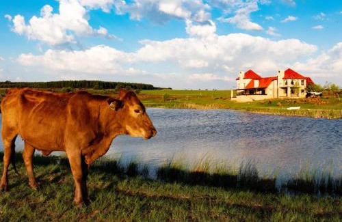 Belfast Apartment | Troutmere