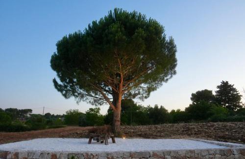 Martina Franca House | Trul ló