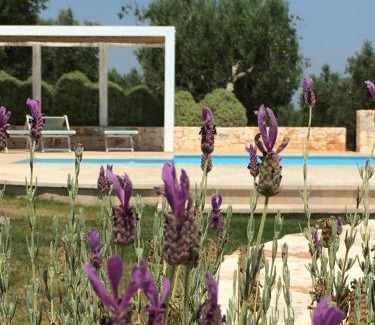Tuscolano Villa | Trullo Amato with exclusive pool