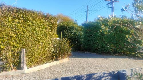 Martinborough House | Tui Cottage