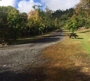 Raurimu Cabin | Tui Glen