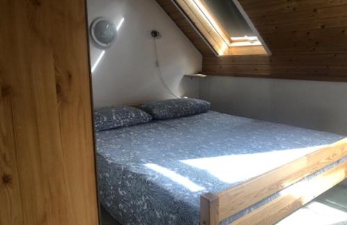 Szentendrei House | Tulipán ház