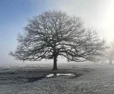 Richmond-upon-Thames Apartment | Turing Lodge, near Hampton Court