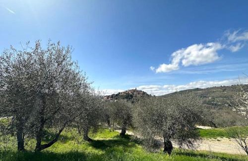 Seggiano Apartment | Tuscany Panoramic View - Relax in Val D'Orcia