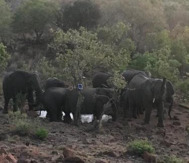 Bela-Bela House | Twenty Four Mabalingwe Nature Reserve