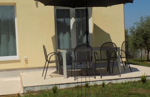 Stranici kod Nove Vasi House | Twins