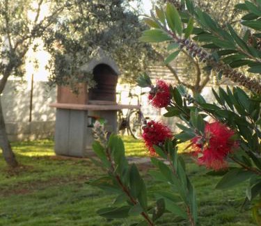 Stranici kod Nove Vasi House | Twins