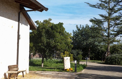 Turi Bed & Breakfast | Typical Apulian Property with Swimming Pool