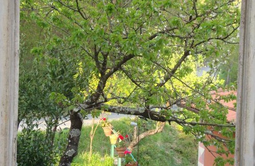 Varese Ligure Apartment | U MUIN da GATTEA - VARESE LIGURE