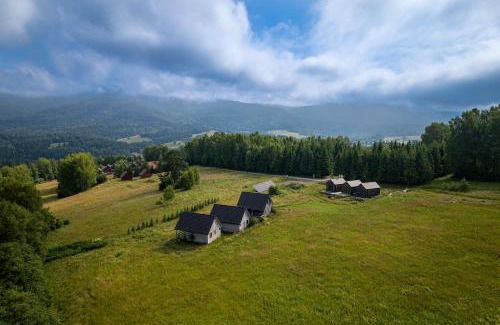 Wetlina Ski Chalet | U Szoguna