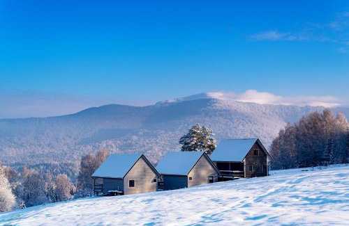 Wetlina Ski Chalet | U Szoguna