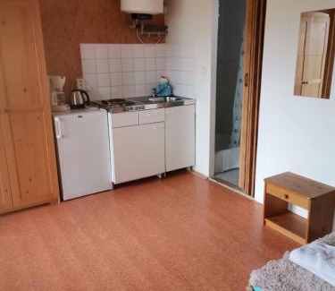 Janov Bed & Breakfast | U Vaclava