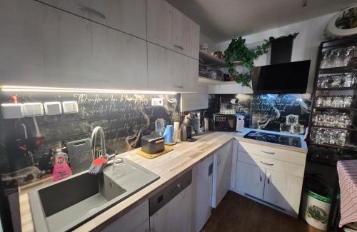 Vrchlabi Apartment | Ubytování Srdcovka