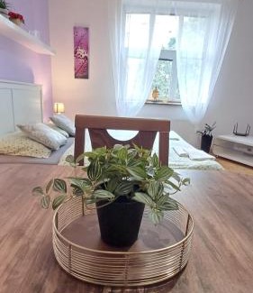 Bohumin Apartment | Ubytovaní U Dvora
