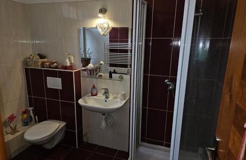 Ostrava City Centre Apartment | Ubytovani Stodolni