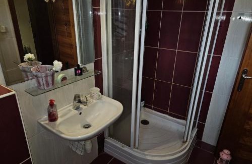 Ostrava City Centre Apartment | Ubytovani Stodolni
