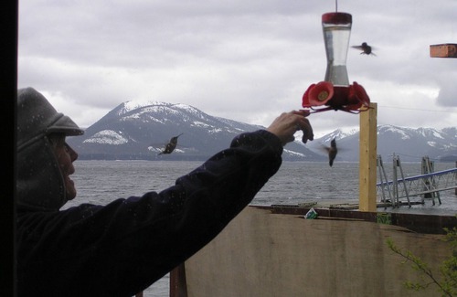 Tenakee Springs Cabin | Ultimate Alaska wildlife experience.