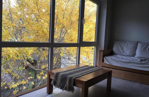 Lanin National Park Apartment | Umain 33