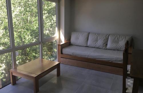 Lanin National Park Apartment | Umain 33