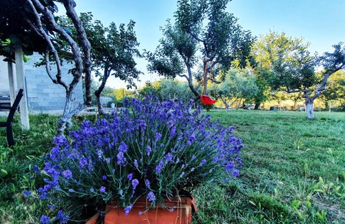 Medulin House | Una's Cottage