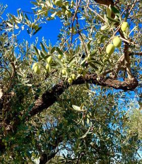 Comiso House | Una Vita In Vacanza