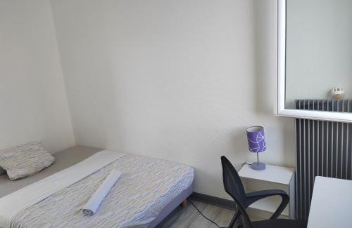 Secteur 3 House | Une Chambre dans Appartement partagé, Grenoble à 8 min du centre-ville