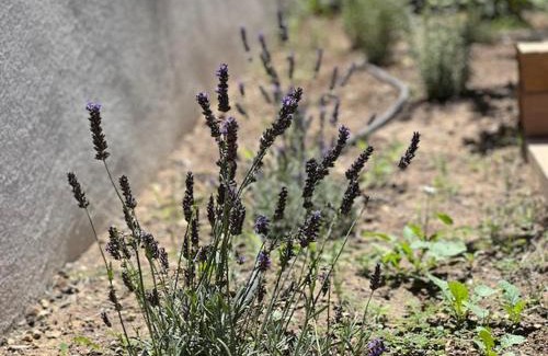 Puyvert House | Une nuit en Luberon
