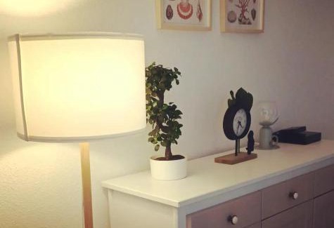 Port Guillaume Apartment | Une parenthèse à dives sur mer