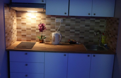 University District Apartment | Unique Apartment In Historic Mansion