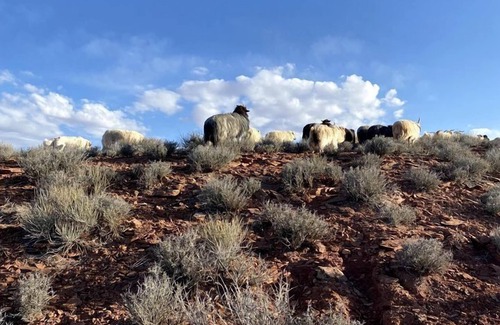 Page House | Unique Hogan Rental in a Beautiful Remote Location near the Grand Canyon