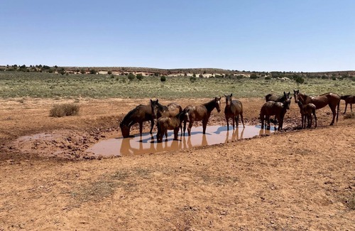 Page House | Unique Hogan Rental in a Beautiful Remote Location near the Grand Canyon
