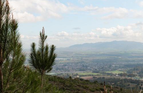 Paarl Villa | untether on Olive View