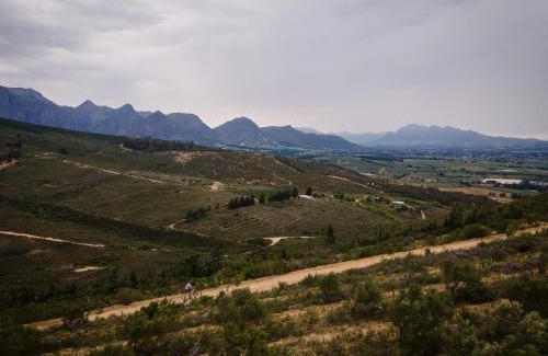 Paarl Villa | untether on Olive View