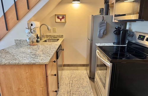 Lutsen Apartment | Updated Lutsen Mtn Condo Ski in Ski out Location Location