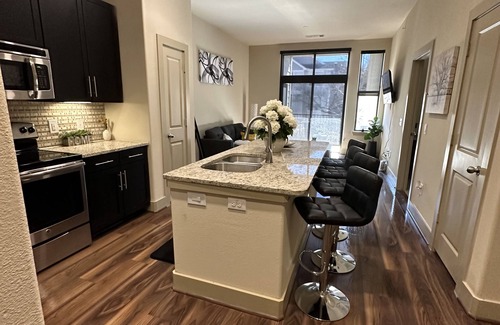 Astrodome Apartment | Upscale luxury apartments units near Nrg Stadium Medical center Downtown Museum.