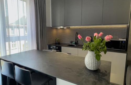 Katowice Apartment | URBAN APARTMENTS PREMIUM, Opolska 10 No 69, Free Garage, Self Check-in