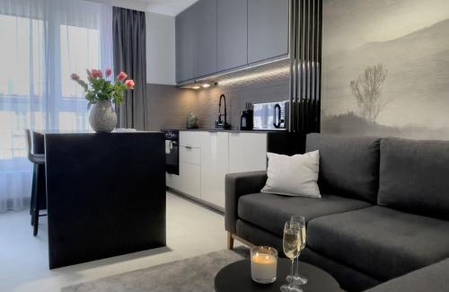 Katowice Apartment | URBAN APARTMENTS PREMIUM, Opolska 10 No 69, Free Garage, Self Check-in