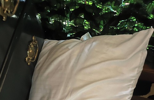 Mexicantown - Southwest Detroit Apartment | Urban Safari Loft 10 minutes from downtown.