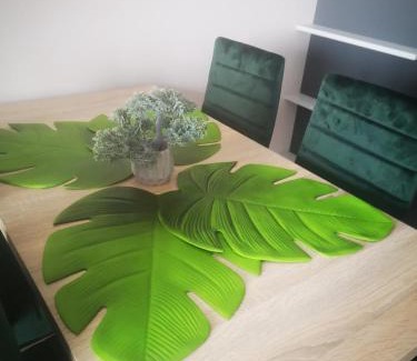 Sandomierz Apartment | Urokliwy apartament